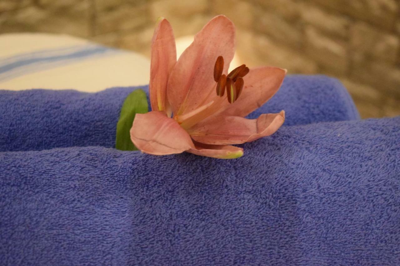 Myrtis Spa Hotel プラキアス エクステリア 写真